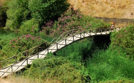 Cueva del Gato (Benoajan)